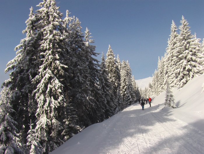 005 Expedice GEMINI 2004